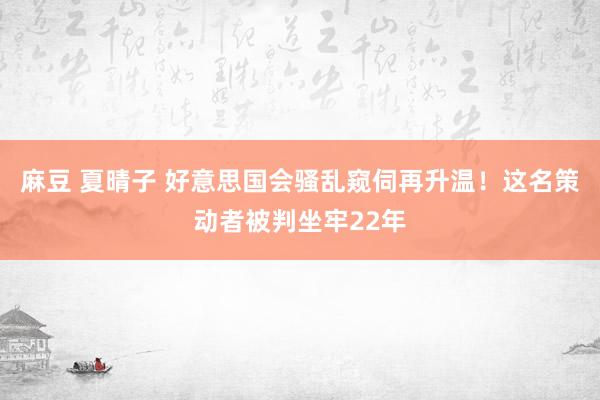 麻豆 夏晴子 好意思国会骚乱窥伺再升温！这名策动者被判坐牢22年
