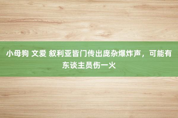 小母狗 文爱 叙利亚皆门传出庞杂爆炸声，可能有东谈主员伤一火