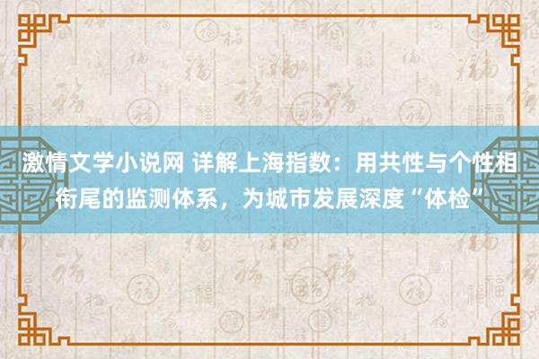 激情文学小说网 详解上海指数：用共性与个性相衔尾的监测体系，为城市发展深度“体检”
