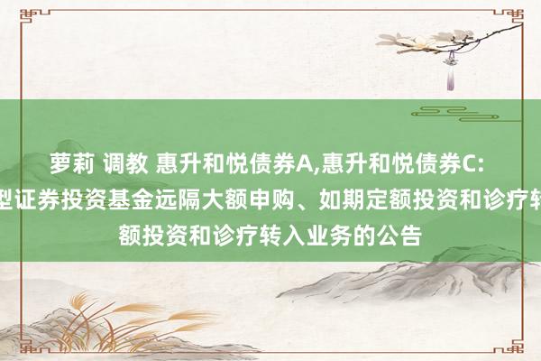 萝莉 调教 惠升和悦债券A,惠升和悦债券C: 惠升和悦债券型证券投资基金远隔大额申购、如期定额投资和诊疗转入业务的公告