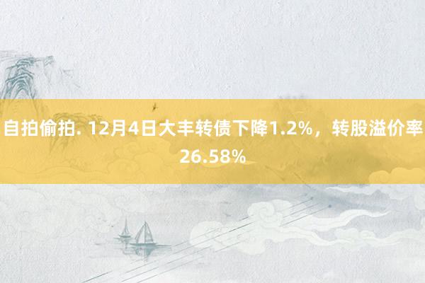 自拍偷拍. 12月4日大丰转债下降1.2%，转股溢价率26.58%