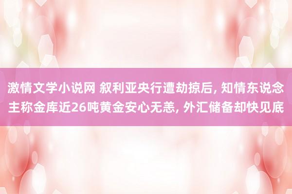 激情文学小说网 叙利亚央行遭劫掠后， 知情东说念主称金库近26吨黄金安心无恙， 外汇储备却快见底