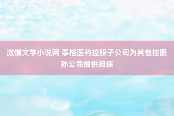 激情文学小说网 泰格医药控股子公司为其他控股孙公司提供担保
