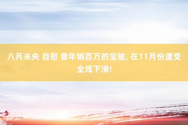 八月未央 自慰 曾年销百万的宝骏， 在11月份遭受全线下滑!