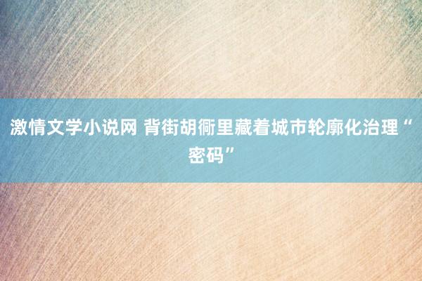 激情文学小说网 背街胡衕里藏着城市轮廓化治理“密码”
