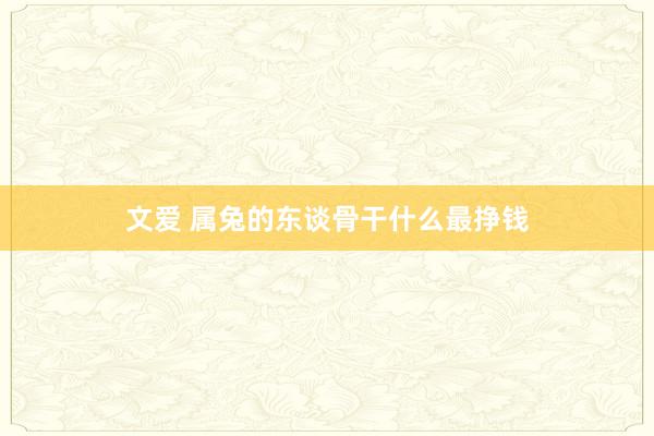 文爱 属兔的东谈骨干什么最挣钱