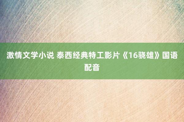 激情文学小说 泰西经典特工影片《16骁雄》国语配音