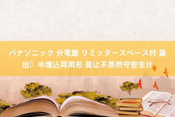 パナソニック 分電盤 リミッタースペース付 露出・半埋込両用形 莫让不昂然守密生计