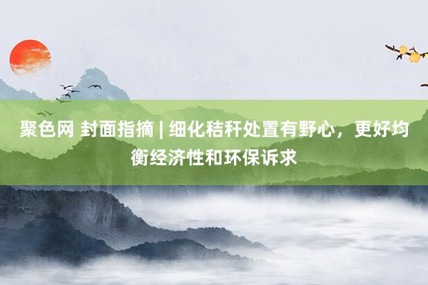 聚色网 封面指摘 | 细化秸秆处置有野心，更好均衡经济性和环保诉求