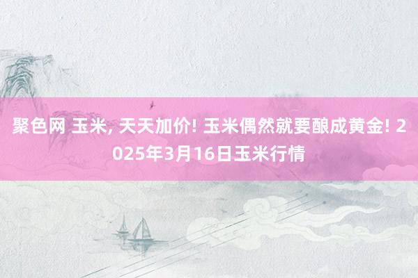 聚色网 玉米， 天天加价! 玉米偶然就要酿成黄金! 2025年3月16日玉米行情