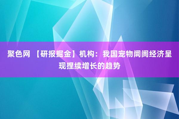聚色网 【研报掘金】机构：我国宠物阛阓经济呈现捏续增长的趋势