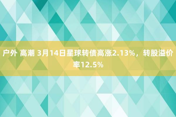 户外 高潮 3月14日星球转债高涨2.13%，转股溢价率12.5%
