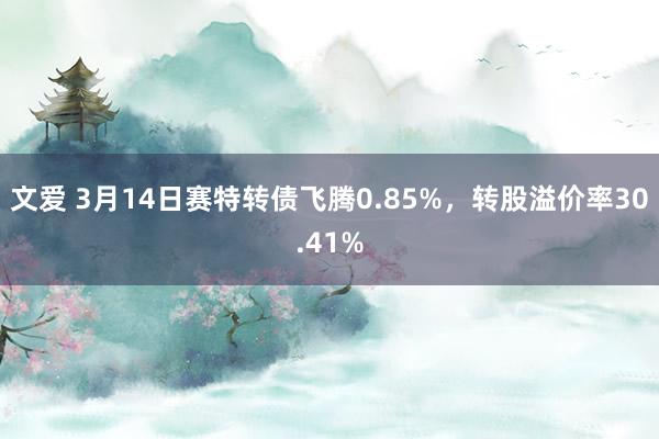 文爱 3月14日赛特转债飞腾0.85%，转股溢价率30.41%