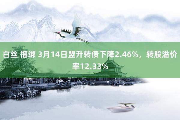 白丝 捆绑 3月14日盟升转债下降2.46%，转股溢价率12.33%