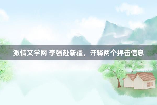 激情文学网 李强赴新疆，开释两个抨击信息