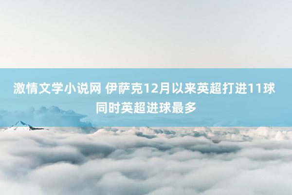激情文学小说网 伊萨克12月以来英超打进11球 同时英超进球最多