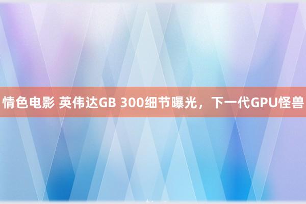 情色电影 英伟达GB 300细节曝光，下一代GPU怪兽