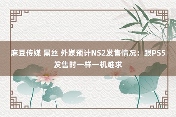 麻豆传媒 黑丝 外媒预计NS2发售情况：跟PS5发售时一样一机难求