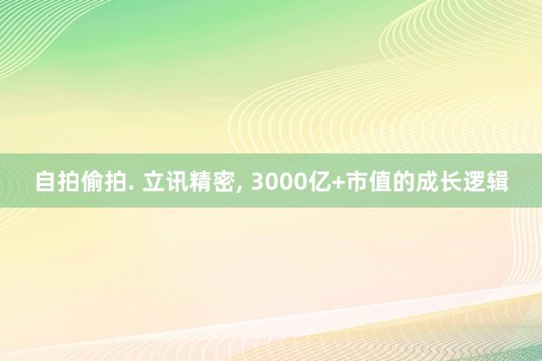 自拍偷拍. 立讯精密， 3000亿+市值的成长逻辑