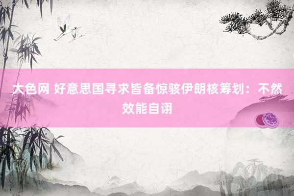 大色网 好意思国寻求皆备惊骇伊朗核筹划：不然效能自诩