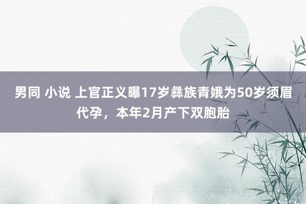 男同 小说 上官正义曝17岁彝族青娥为50岁须眉代孕，本年2月产下双胞胎