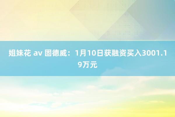 姐妹花 av 固德威：1月10日获融资买入3001.19万元