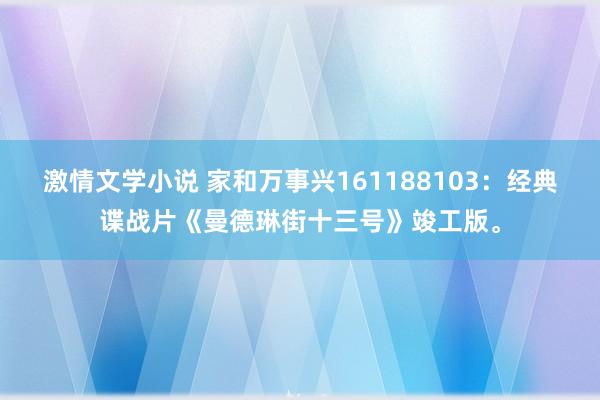 激情文学小说 家和万事兴161188103：经典谍战片《曼德琳街十三号》竣工版。