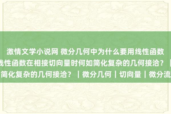 激情文学小说网 微分几何中为什么要用线性函数的不雅点来看切向量？线性函数在相接切向量时何如简化复杂的几何接洽？｜微分几何｜切向量｜微分流形