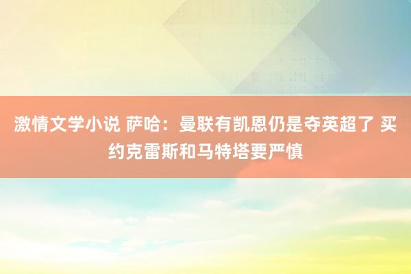 激情文学小说 萨哈：曼联有凯恩仍是夺英超了 买约克雷斯和马特塔要严慎