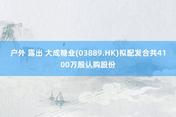 户外 露出 大成糖业(03889.HK)拟配发合共4100万股认购股份