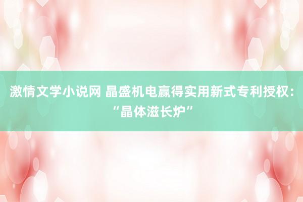 激情文学小说网 晶盛机电赢得实用新式专利授权：“晶体滋长炉”