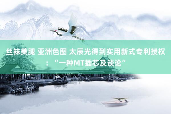 丝袜美腿 亚洲色图 太辰光得到实用新式专利授权：“一种MT插芯及谈论”