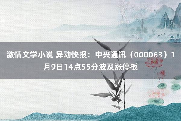 激情文学小说 异动快报：中兴通讯（000063）1月9日14点55分波及涨停板