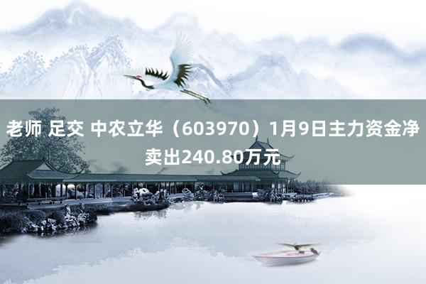 老师 足交 中农立华（603970）1月9日主力资金净卖出240.80万元