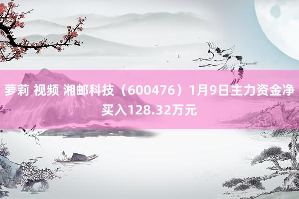 萝莉 视频 湘邮科技（600476）1月9日主力资金净买入128.32万元