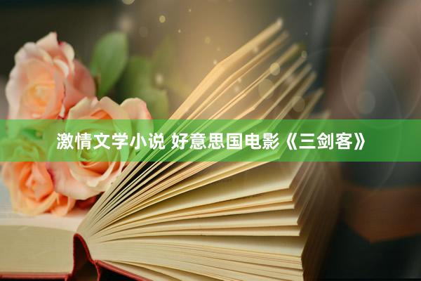 激情文学小说 好意思国电影《三剑客》