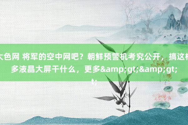 大色网 将军的空中网吧？朝鲜预警机考究公开，搞这样多液晶大屏干什么，更多&gt;&gt;