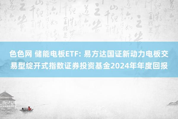 色色网 储能电板ETF: 易方达国证新动力电板交易型绽开式指数证券投资基金2024年年度回报