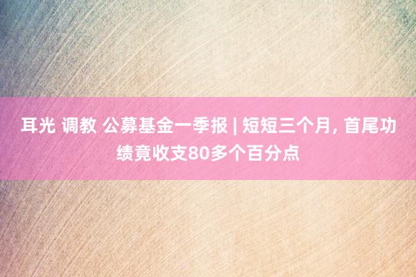 耳光 调教 公募基金一季报 | 短短三个月， 首尾功绩竟收支80多个百分点