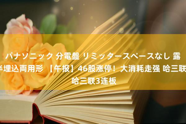 パナソニック 分電盤 リミッタースペースなし 露出・半埋込両用形 【午报】46股涨停！大消耗走强 哈三联3连板