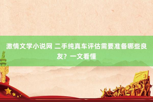 激情文学小说网 二手纯真车评估需要准备哪些良友？一文看懂