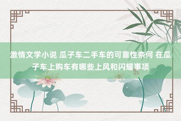 激情文学小说 瓜子车二手车的可靠性奈何 在瓜子车上购车有哪些上风和闪耀事项