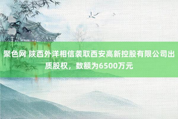 聚色网 陕西外洋相信袭取西安高新控股有限公司出质股权，数额为6500万元