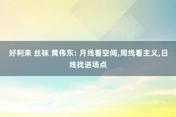 好利来 丝袜 黄伟东: 月线看空间，周线看主义，日线找进场点