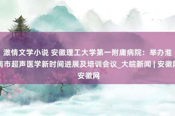 激情文学小说 安徽理工大学第一附庸病院：举办淮南市超声医学新时间进展及培训会议_大皖新闻 | 安徽网