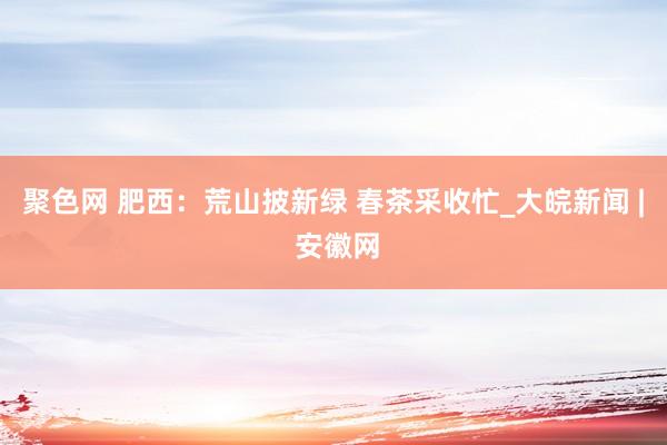 聚色网 肥西：荒山披新绿 春茶采收忙_大皖新闻 | 安徽网