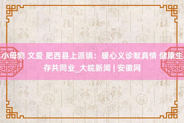 小母狗 文爱 肥西县上派镇：暖心义诊献真情 健康生存共同业_大皖新闻 | 安徽网