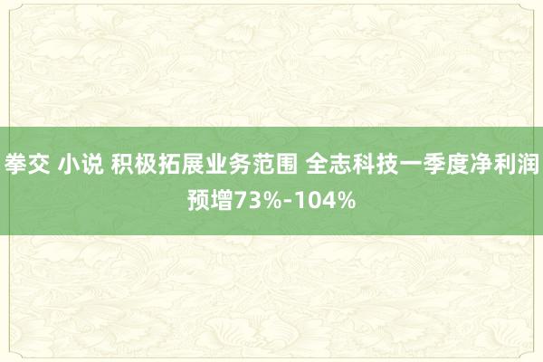 拳交 小说 积极拓展业务范围 全志科技一季度净利润预增73%-104%