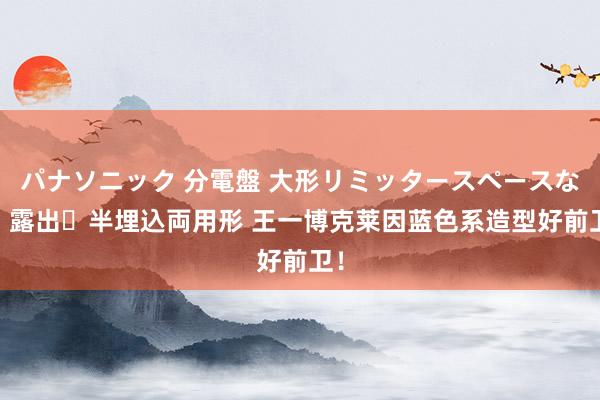 パナソニック 分電盤 大形リミッタースペースなし 露出・半埋込両用形 王一博克莱因蓝色系造型好前卫！