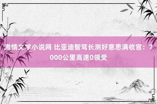 激情文学小说网 比亚迪智驾长测好意思满收官：7000公里高速0领受